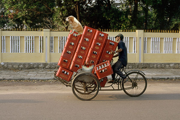 beer-delivery-bicycle.jpg